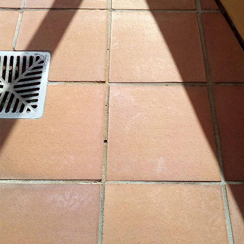 old terracotta tiles with efflorescence - after